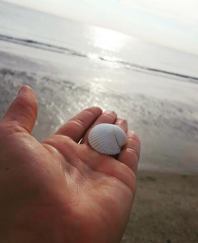 IMG_4976.jpg