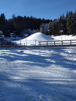 IMG_20210215_124226.jpg